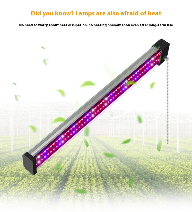 LED Pflanzenlampe mit Vollspektrum-Beleuchtung und Zugschalter für optimales Pflanzenwachstum