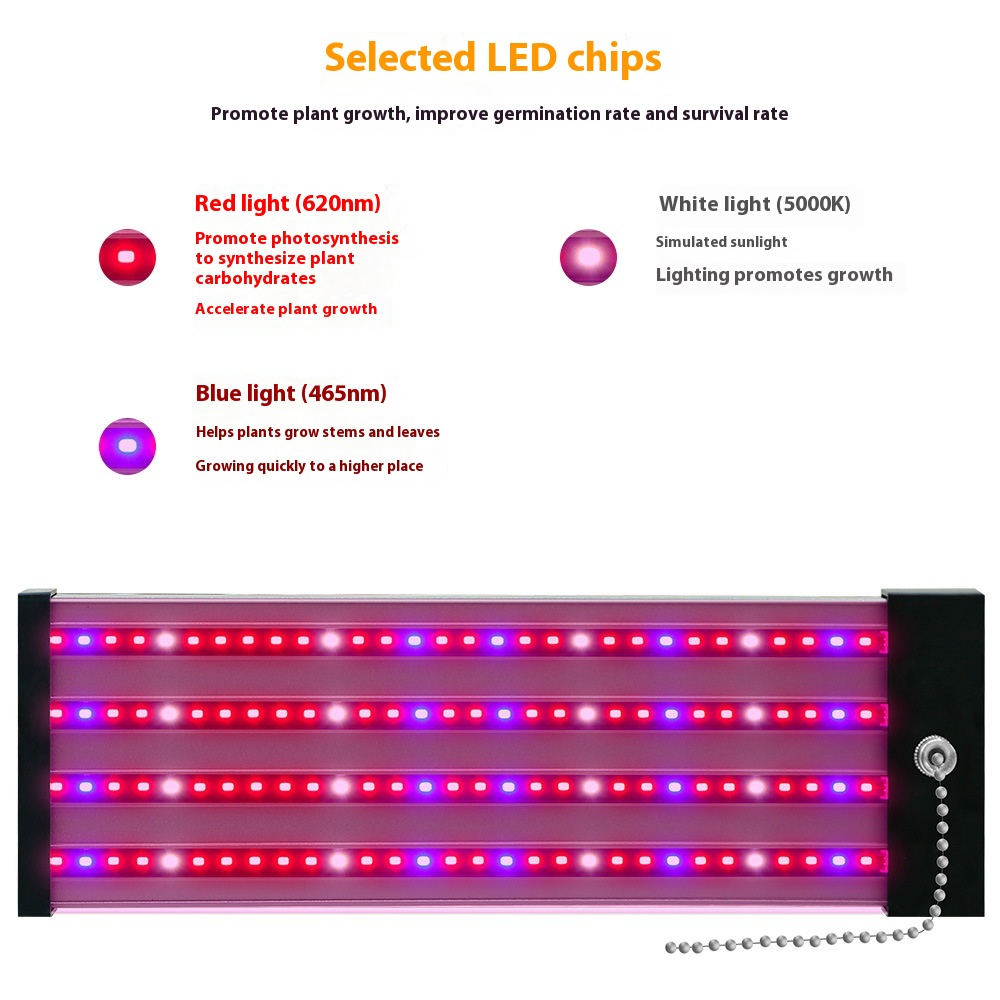 LED Pflanzenlampe mit Vollspektrum-Beleuchtung und Zugschalter für optimales Pflanzenwachstum