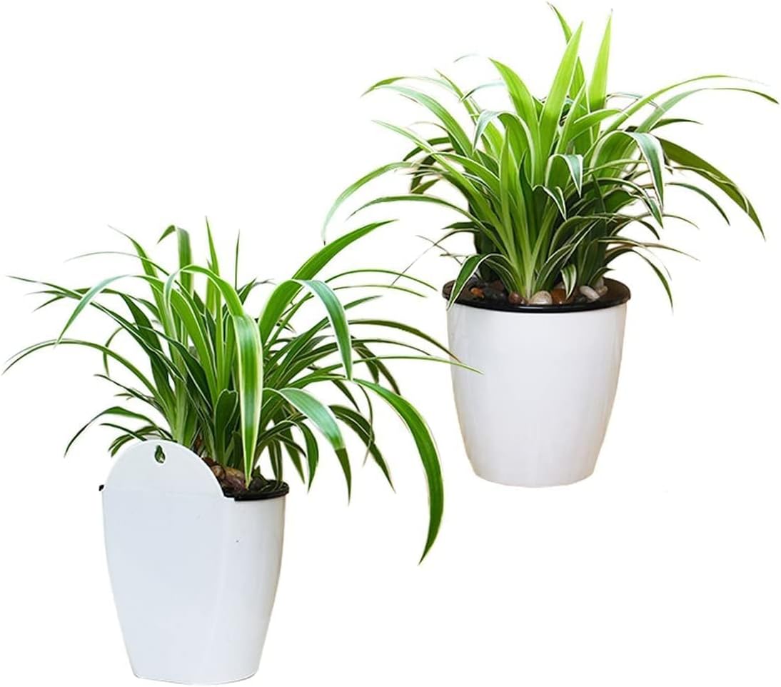 Selbstbewässernder Hängepflanztopf – Moderner Blumentopf für Wandbefestigung