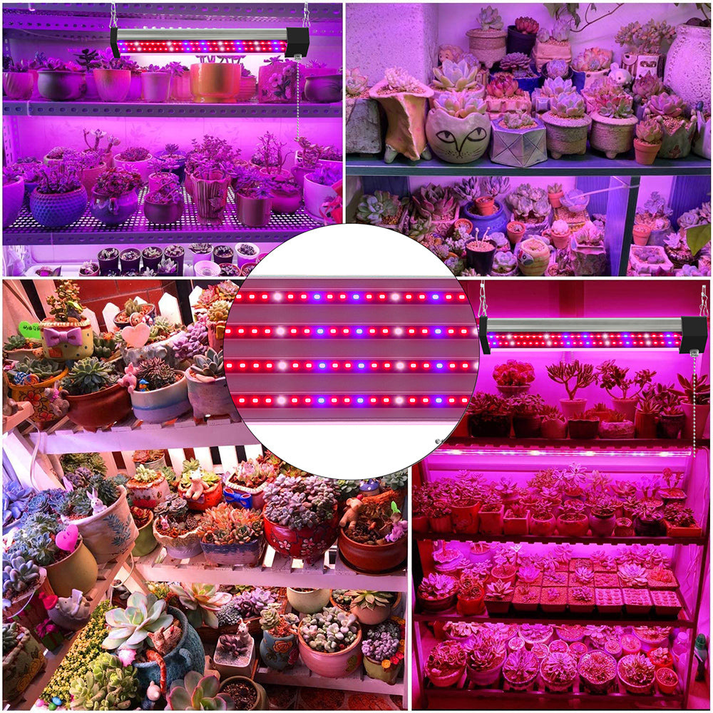 LED Pflanzenlampe mit Vollspektrum-Beleuchtung und Zugschalter für optimales Pflanzenwachstum