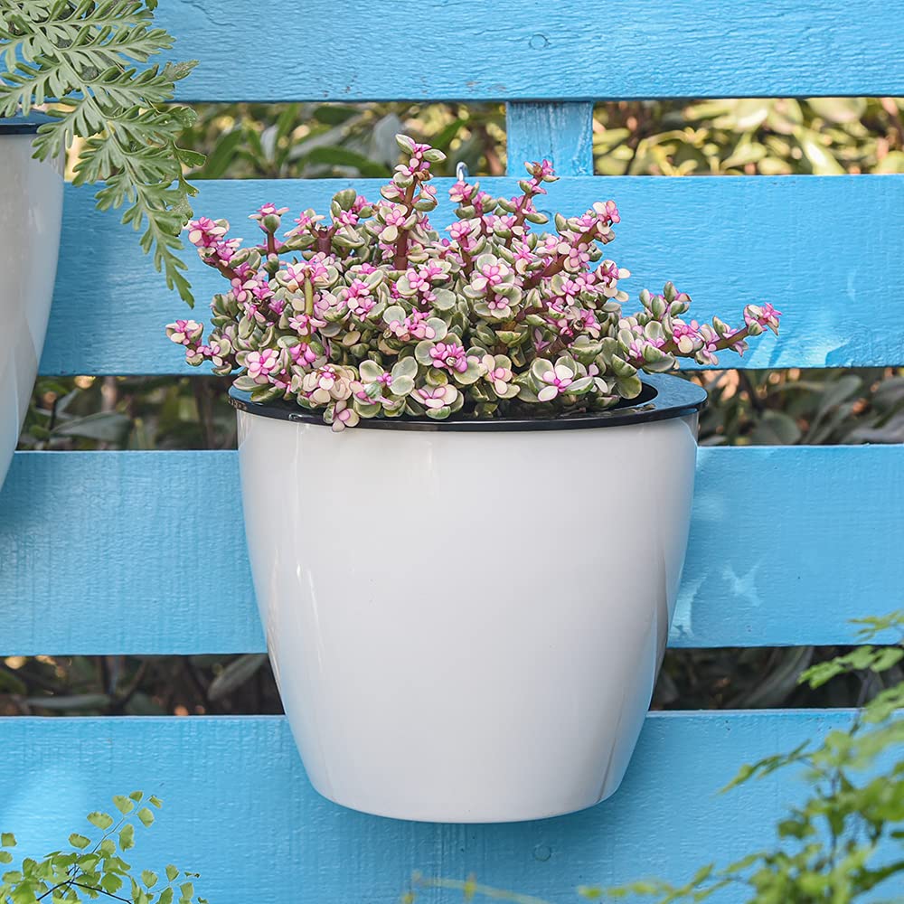 Selbstbewässernder Hängepflanztopf – Moderner Blumentopf für Wandbefestigung