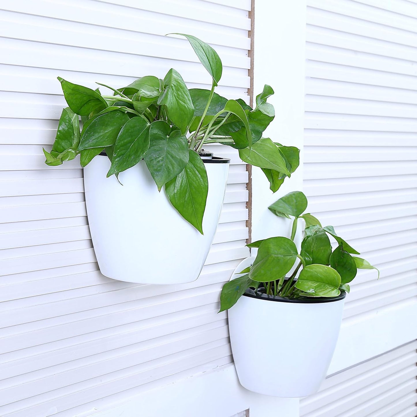 Selbstbewässernder Hängepflanztopf – Moderner Blumentopf für Wandbefestigung