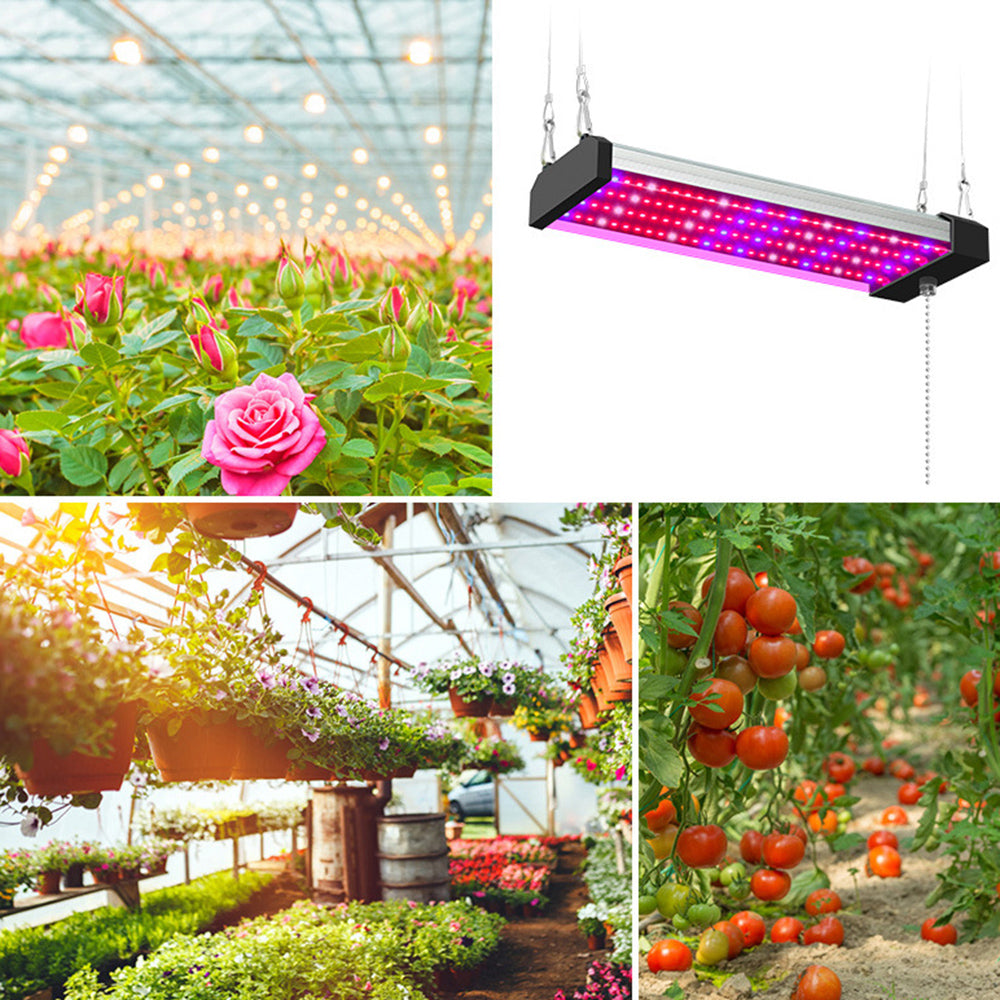 LED Pflanzenlampe mit Vollspektrum-Beleuchtung und Zugschalter für optimales Pflanzenwachstum