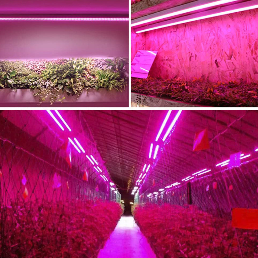 LED Pflanzenlampe mit Vollspektrum-Beleuchtung und Zugschalter für optimales Pflanzenwachstum