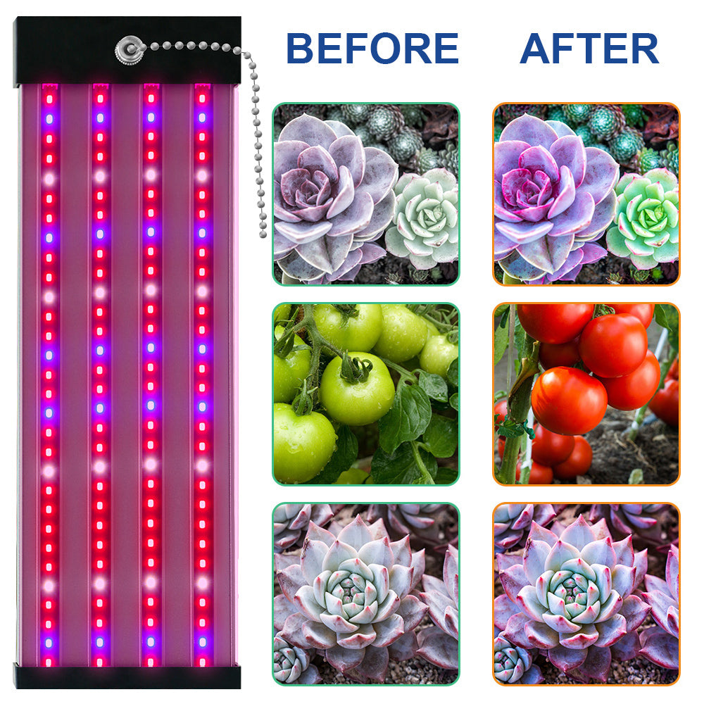 LED Pflanzenlampe mit Vollspektrum-Beleuchtung und Zugschalter für optimales Pflanzenwachstum