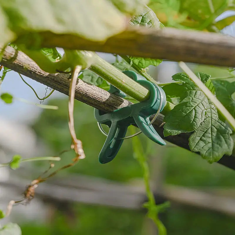Gartenclip-Set – Pflanzenschlaufen für Pflanzenstützen und Gartenpflege