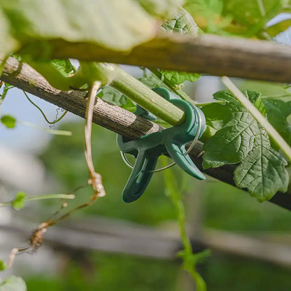 Gartenclip-Set – Pflanzenschlaufen für Pflanzenstützen und Gartenpflege
