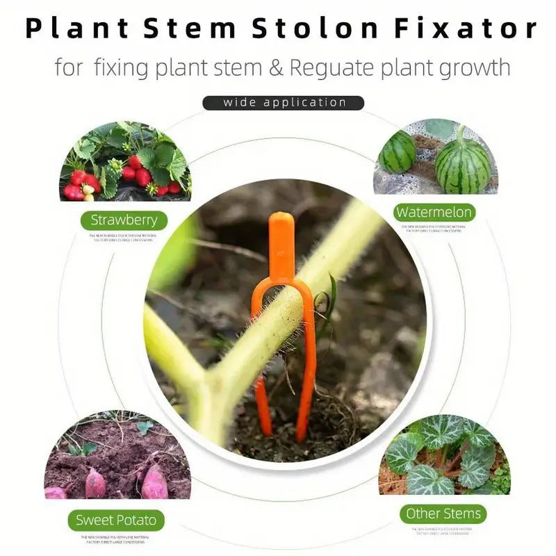 Gartenpflanzen Stützklammern aus Kunststoff für optimale Pflanzenstabilität