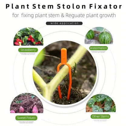 Gartenpflanzen Stützklammern aus Kunststoff für optimale Pflanzenstabilität