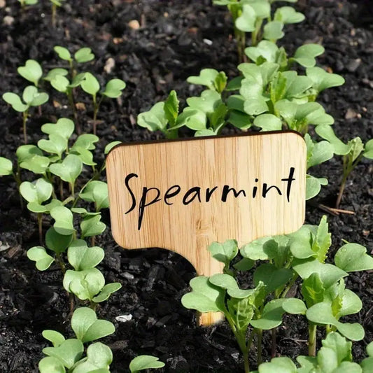 Pflanzenschilder aus Holz für Garten und Balkon – Wiederbeschreibbare Etiketten für Kräuter und Pflanzen