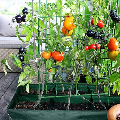 Pflanzsack mit Mehrfachfächern – Robuste Gartenaufbewahrung für Pflanzen und Kräuter