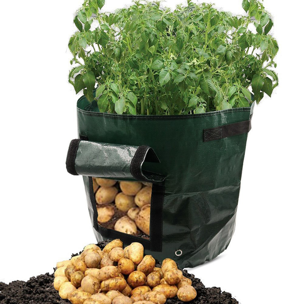 Pflanzsack für Kartoffeln – Wiederverwendbar und mit Sichtfenster
