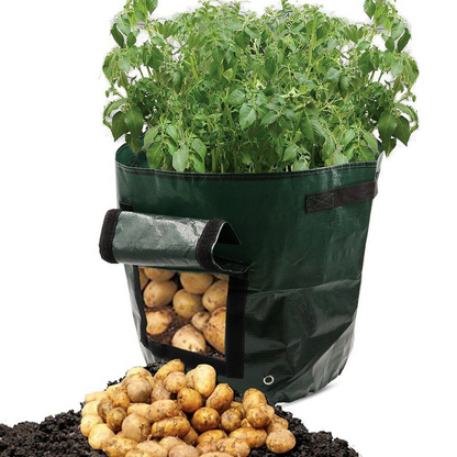 Pflanzsack für Kartoffeln – Wiederverwendbar und mit Sichtfenster