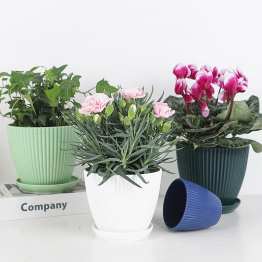 Blumentopf mit Rillenstruktur und Untersetzer – Stabiler Kunststofftopf für Pflanzen