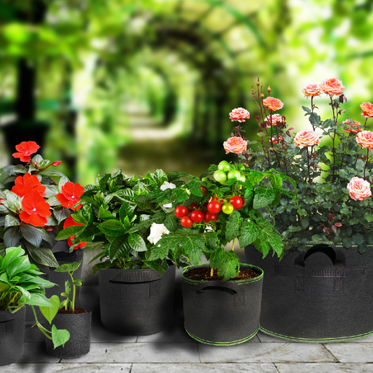 Pflanzsack aus Vliesstoff – Robuster Gartenbehälter mit Griffen für Pflanzen