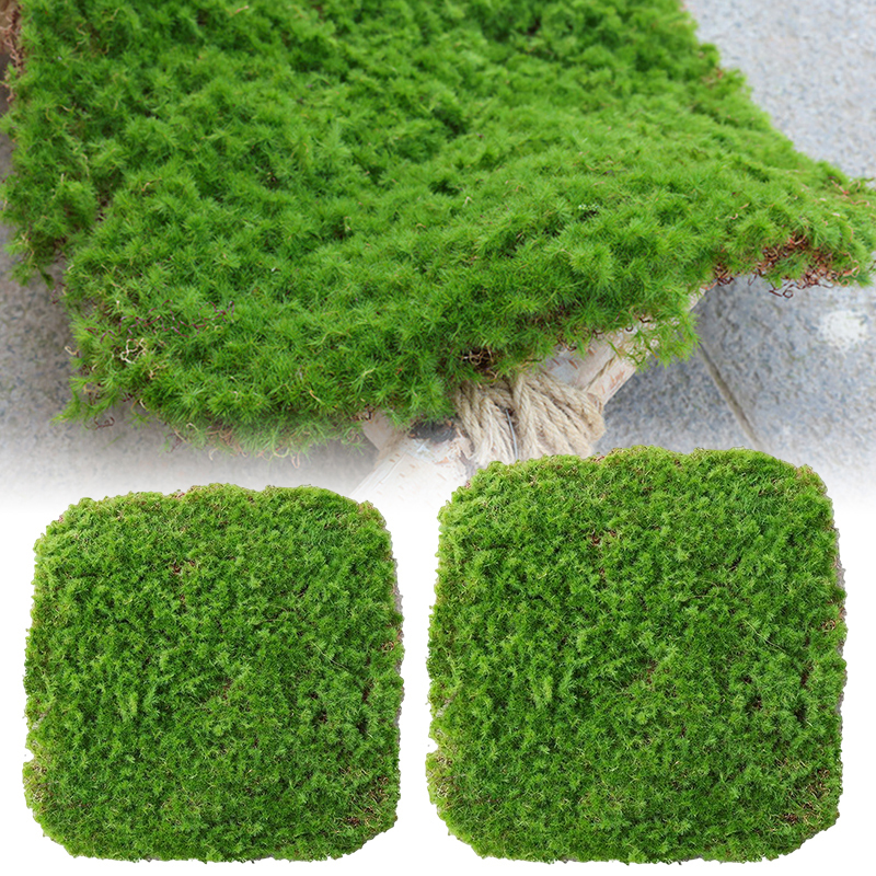 Moos-Überzug Stück – Moos Flocken Ornament für Dekoration und Landschaftsgestaltung