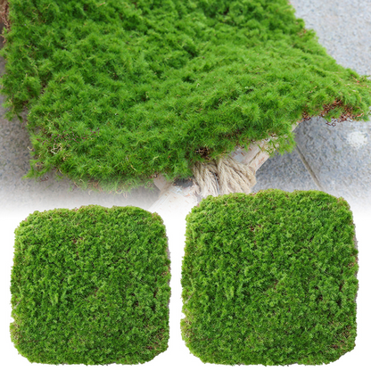 Moos-Überzug Stück – Moos Flocken Ornament für Dekoration und Landschaftsgestaltung