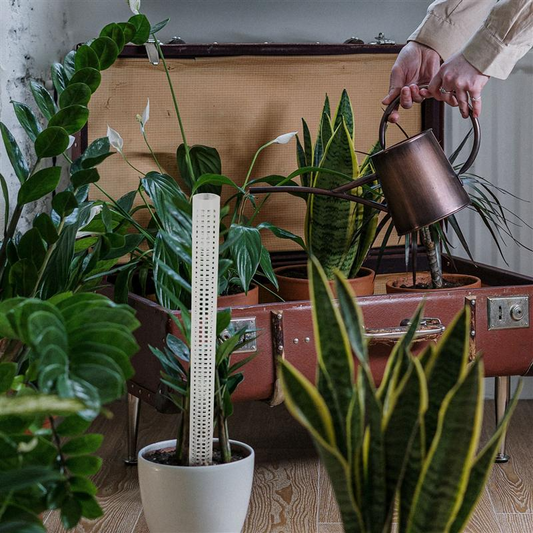 Pfeiler für Kletterpflanzen und grüne Pflanzen – Stützsäulen für vertikale Pflanzenzucht