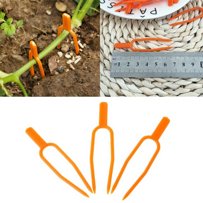 Gartenpflanzen Stützklammern aus Kunststoff für optimale Pflanzenstabilität