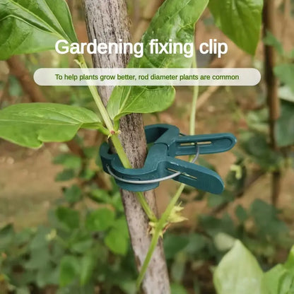 Gartenclip-Set – Pflanzenschlaufen für Pflanzenstützen und Gartenpflege