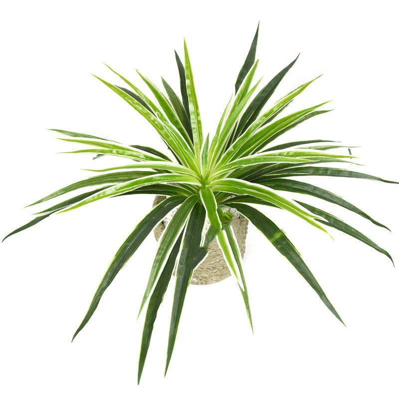 Künstliche Gras Pflanze – Dekorative Pflanze für Zuhause und Büro