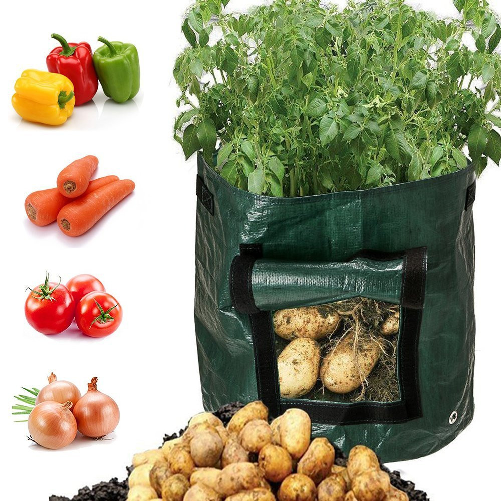 Pflanzsack für Kartoffeln – Wiederverwendbar und mit Sichtfenster