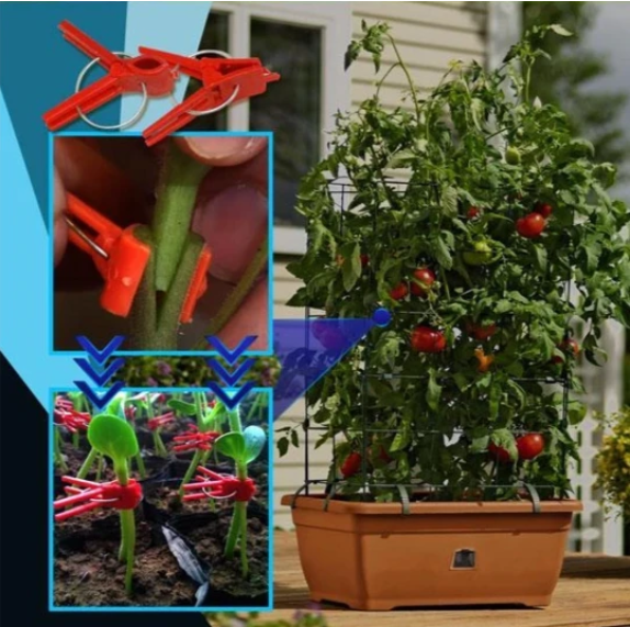 Kunststoff Veredelungsclips für Gartenpflanzen – Ideal für Gemüse und Pflanzenpflege
