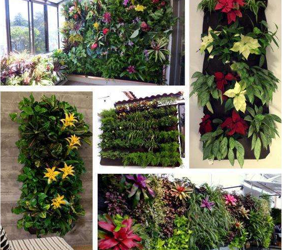 Pflanzenwand Taschen für Garten – Vertikaler Pflanzer für Innen und Außen