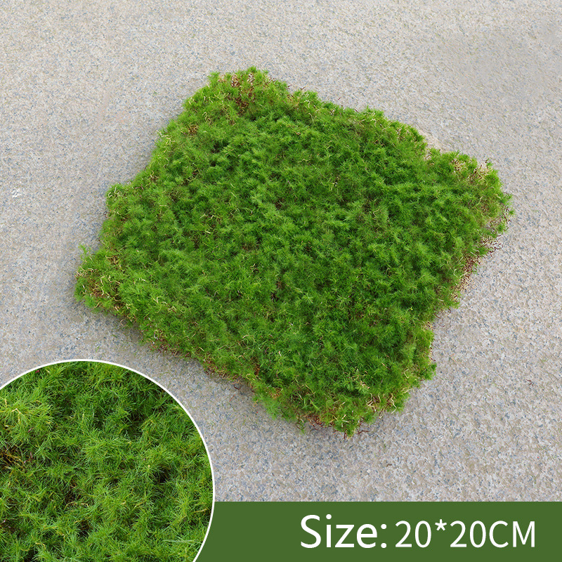 Moos-Überzug Stück – Moos Flocken Ornament für Dekoration und Landschaftsgestaltung