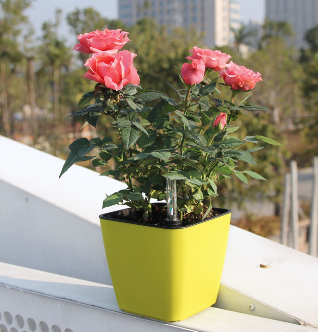 Blumentopf mit Bewässerungssystem – Selbstbewässernder Pflanztopf für Innen- und Außennutzung