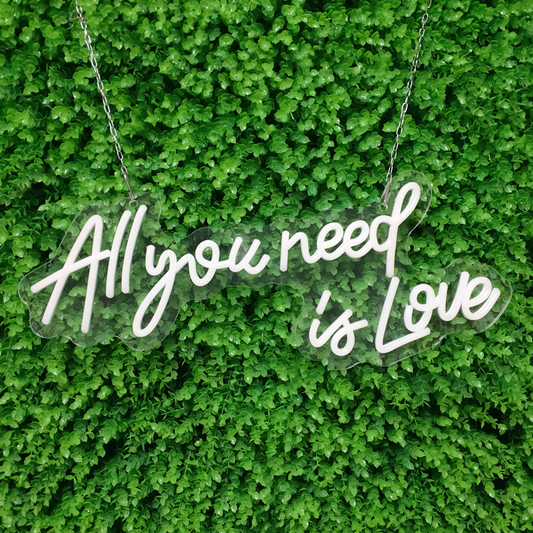 Neon Schriftzug 'All You Need is Love' – Dekorative LED Wandbeleuchtung für Innenbereich