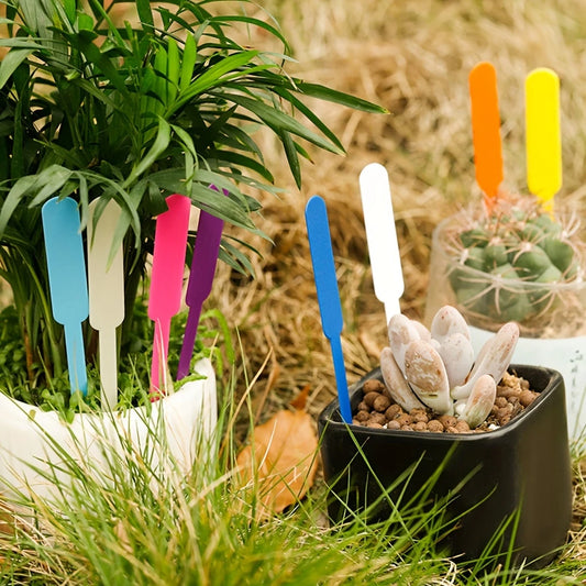 Bunte Pflanzenstecker aus Kunststoff – Wetterfest & Wiederbeschreibbar
