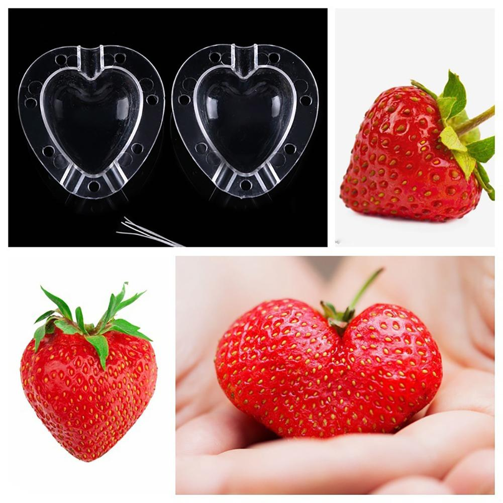 Herzform Gemüseformer – Kreative Formschale für Gemüse und Obst