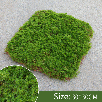Moos-Überzug Stück – Moos Flocken Ornament für Dekoration und Landschaftsgestaltung
