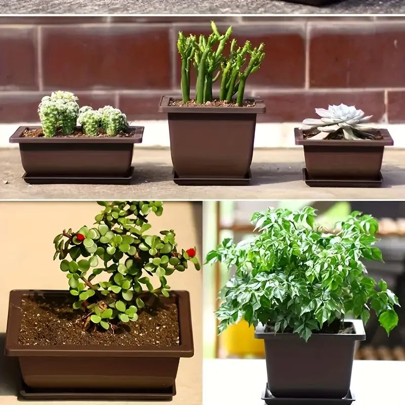 Pflanzkübel mit Untersetzer – Rechteckiger Blumentopf für Garten und Balkon