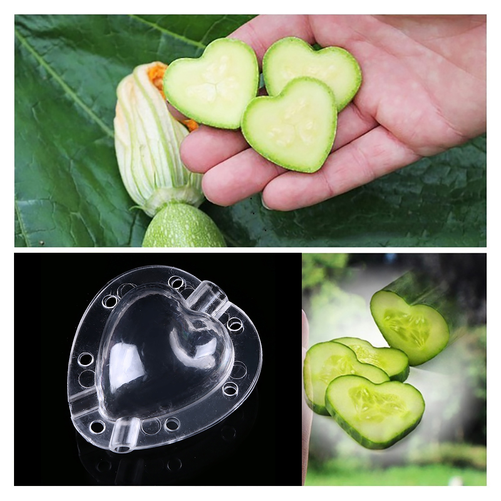 Herzform Gemüseformer – Kreative Formschale für Gemüse und Obst