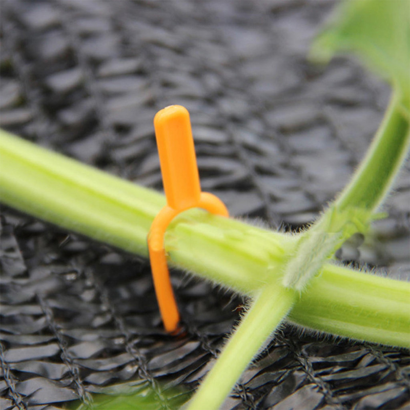 Gartenpflanzen Stützklammern aus Kunststoff für optimale Pflanzenstabilität