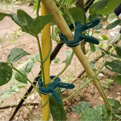 Gartenclip-Set – Pflanzenschlaufen für Pflanzenstützen und Gartenpflege
