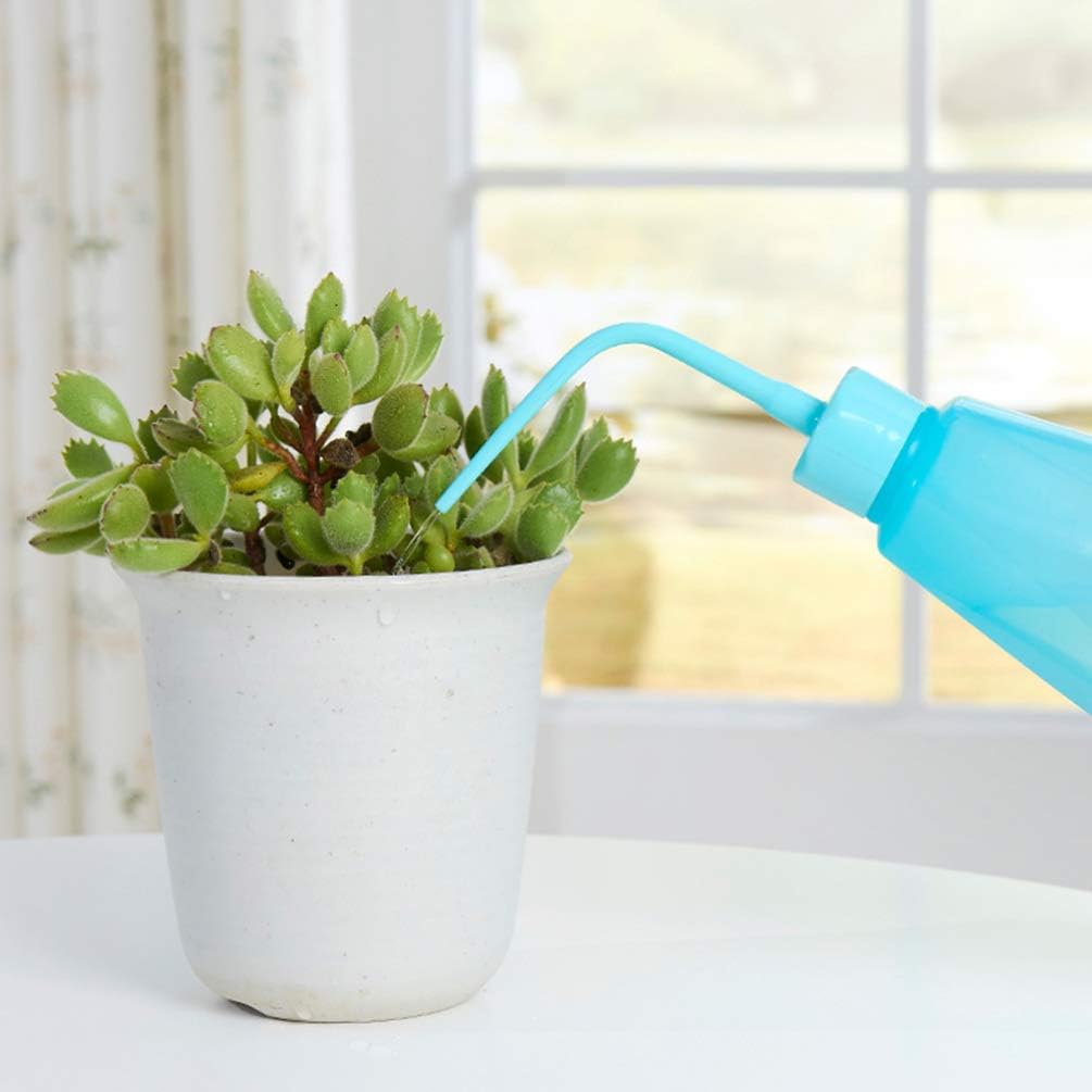 Sukkulentengarten-Werkzeug-Set mit Sprühflasche und Zubehör