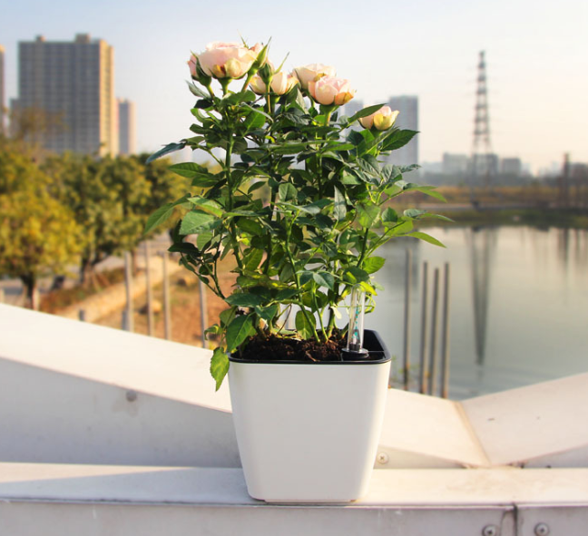 Blumentopf mit Bewässerungssystem – Selbstbewässernder Pflanztopf für Innen- und Außennutzung
