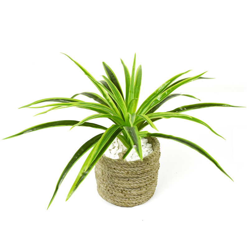 Künstliche Gras Pflanze – Dekorative Pflanze für Zuhause und Büro