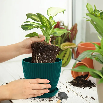Blumentopf mit Rillenstruktur und Untersetzer – Stabiler Kunststofftopf für Pflanzen