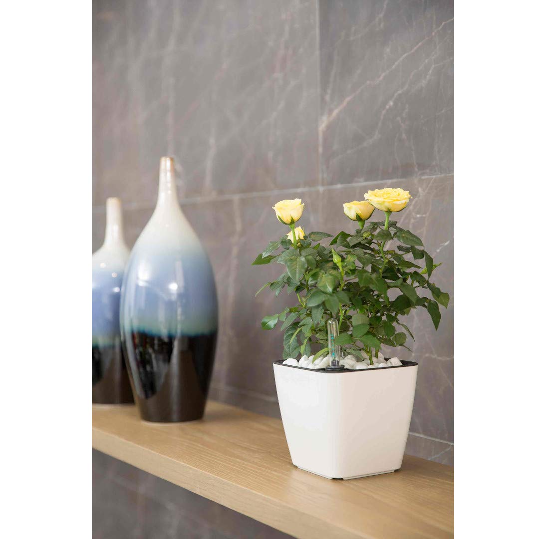 Blumentopf mit Bewässerungssystem – Selbstbewässernder Pflanztopf für Innen- und Außennutzung