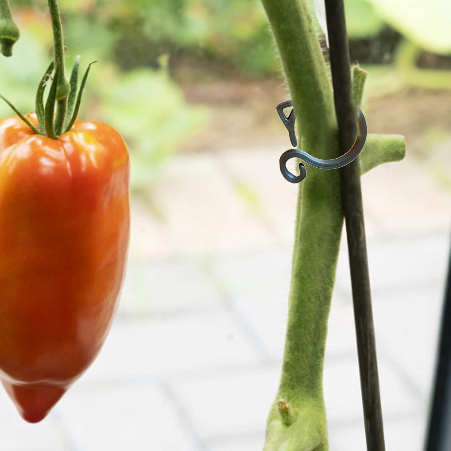 Katzenförmiger Pflanzclip – Niedliche Pflanzenstütze für Garten und Zimmerpflanzen