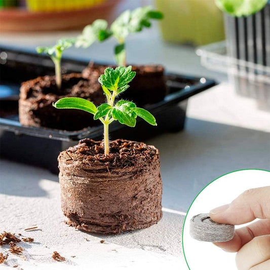 Kokosfaser Torf Anzuchtpellets – Starter für Samenpflanzung