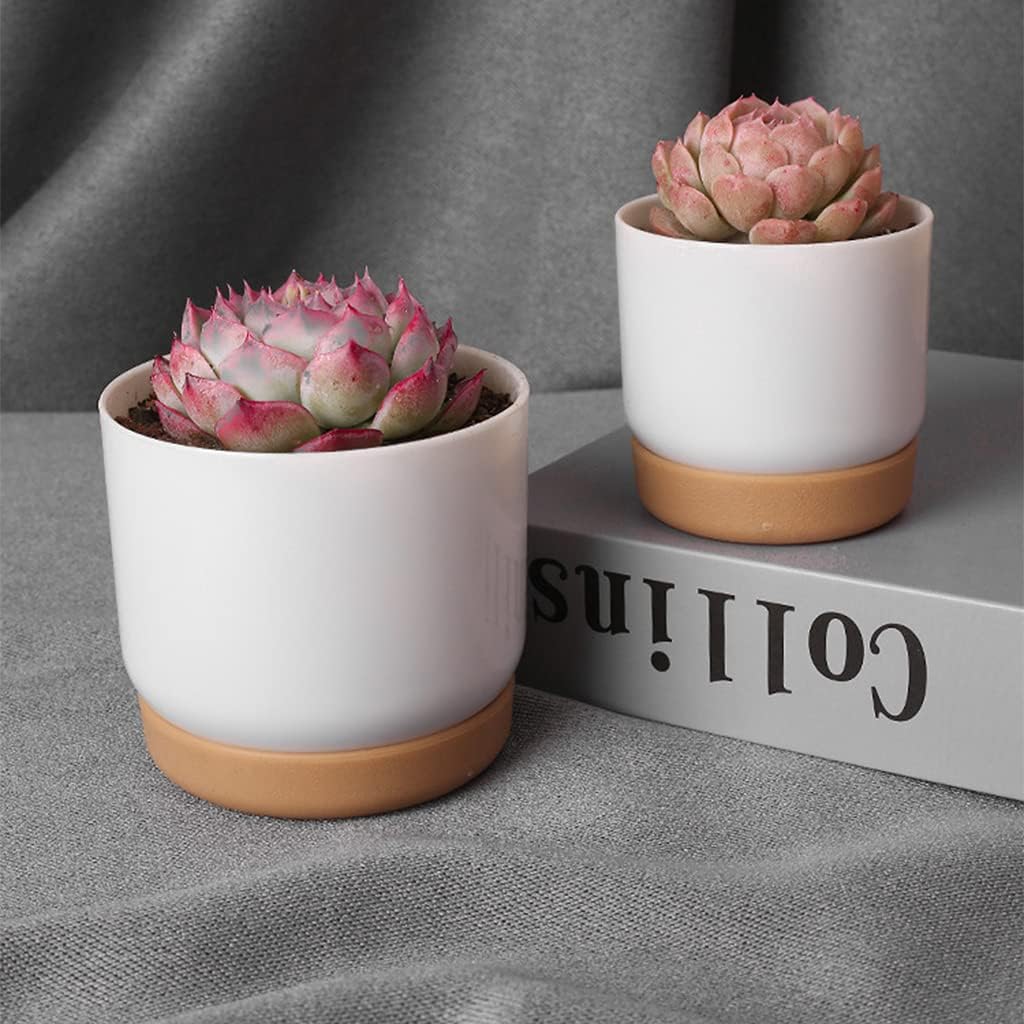 Selbstbewässernder Blumentopf für Orchideen und Pflanzen – Kunststoff Pflanzgefäß
