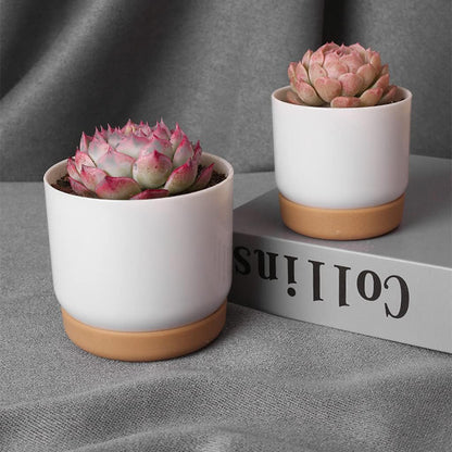 Selbstbewässernder Blumentopf für Orchideen und Pflanzen – Kunststoff Pflanzgefäß