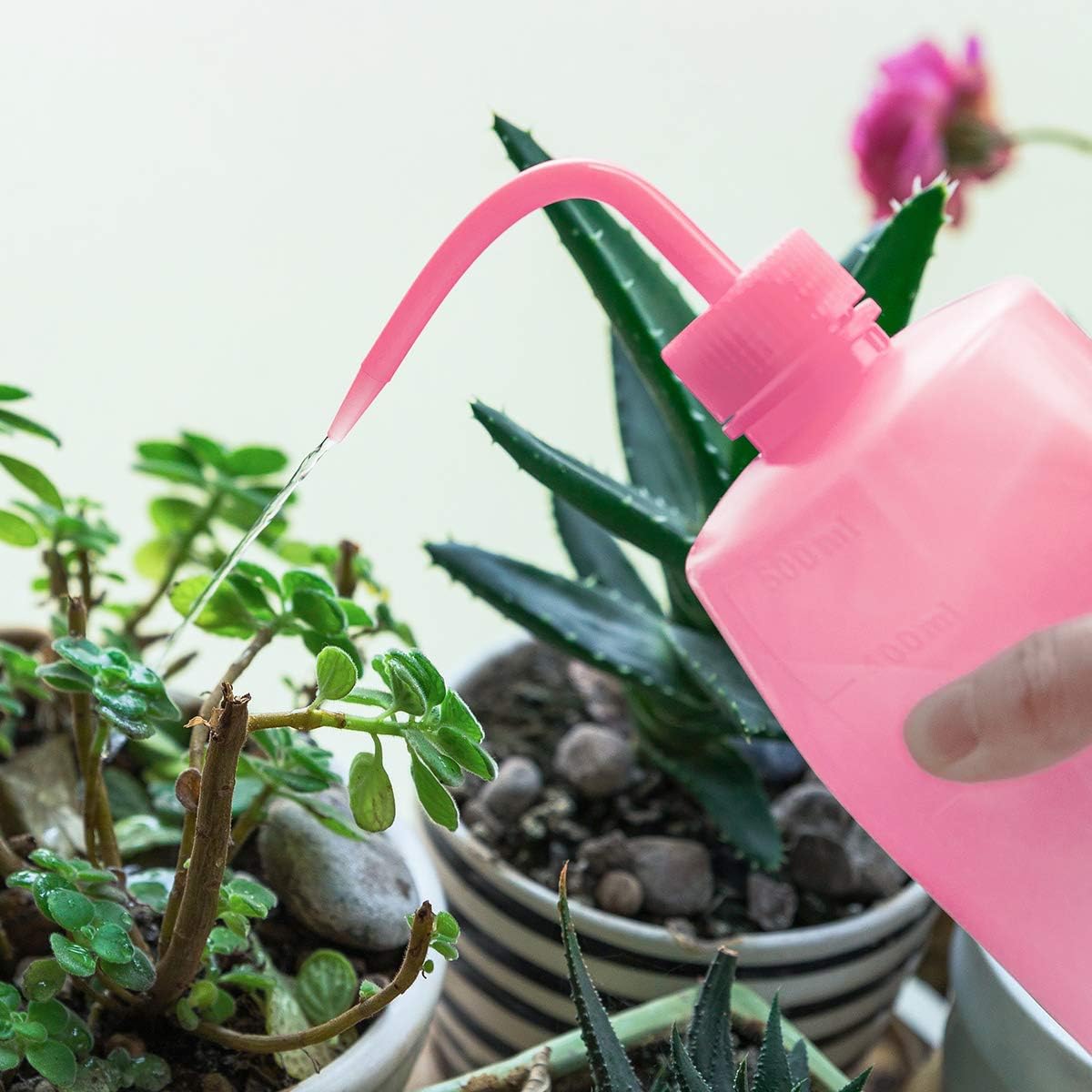 Spot 250ml Squeeze Gießflasche – Kompakte Sprühflasche für präzises Gießen und Dosieren