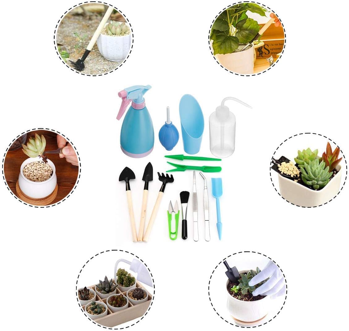 Sukkulentengarten-Werkzeug-Set mit Sprühflasche und Zubehör