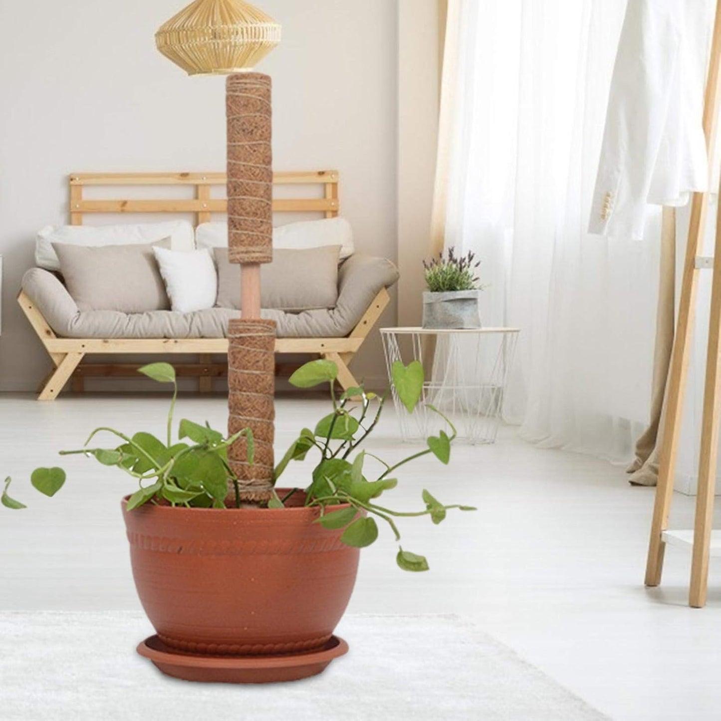 Kokosmoos Stab für Kletterpflanzen – Natürliche Rankhilfe für Zimmerpflanzen und Garten